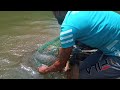 SRI Lankan 🇱🇰 fishing traditional best cast net fishing  in kiridioya