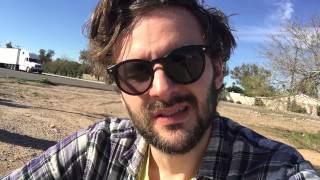 Olive Project Day 15: Olives In Arizona