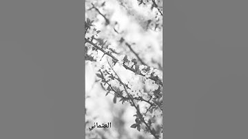 إن المسلمين والمسلمات ، #اكسبلور #المصحف #بودكاست #الرحمن #تيك_توك #لايك ،  قرآن كريم