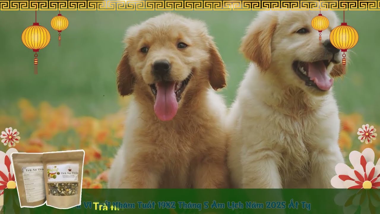 Khám Phá La Số Tử Vi Tuổi Nhâm Tuất 1982 - Hiểu Rõ Hơn Về Bản Thân