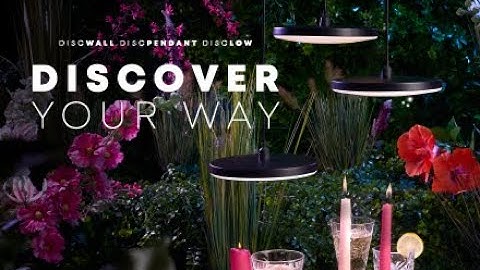 in-lite DISC CONCEPT | DISCOVER YOUR WAY