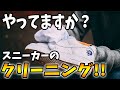 みなさんやってますか？スニーカーのクリーニングは!!スニーカーコレクターとのコラボで誕生したケアグッズ！
