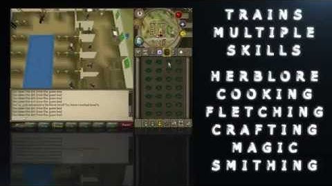 [FREE] Runescape Old School 2007 Server Bot. Working March 2013 (with download link)