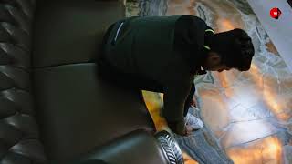 Yara 2 Zain Imam Mamta Sharma Lucky Dancer Arishfa Khan New Song 2019