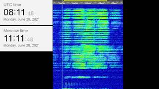 The Buzzer/UVB-76(4625Khz) June 28, 2021 08:11UTC Voice message