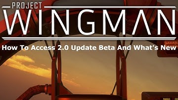 Project Wingman 2.0 Beta Access + What