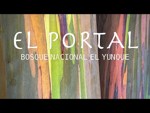 El Portal de El Yunque - Río Grande, Puerto Rico  I  Ver Más Films
