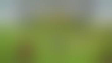 /dank/null Mod 1.12.2 & How To Download and Install for Minecraft