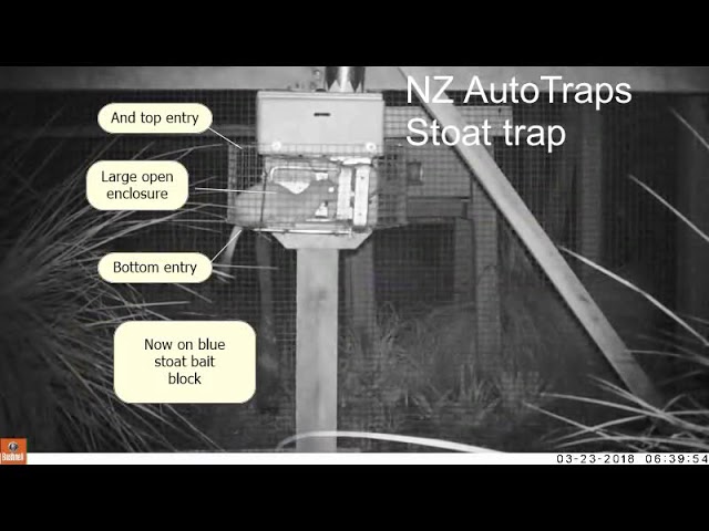 AT220 Possum & Rat Trap – NZ AutoTraps