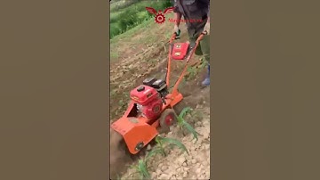 Máy xới đất vun luống ngô siêu nhanh #shorts #vinmax