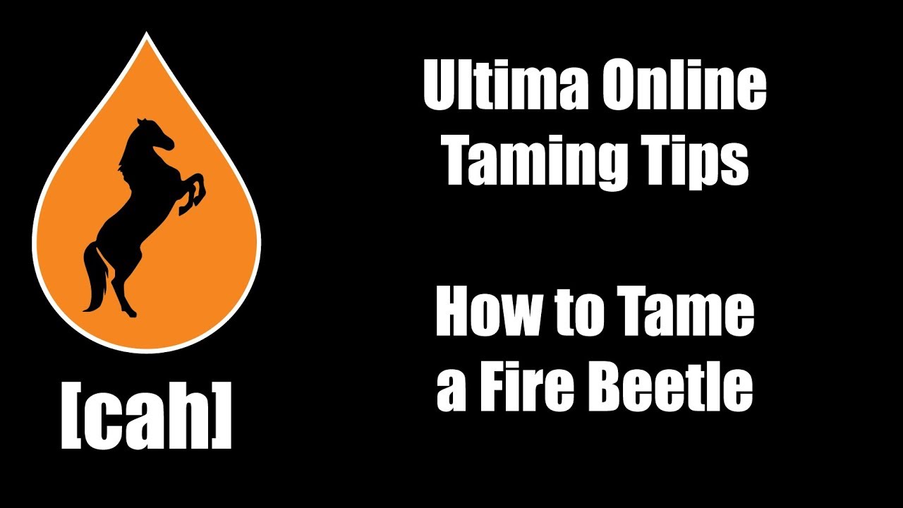 Ultima Online UOCAH Taming Tips Taming a Fire Beetle YouTube