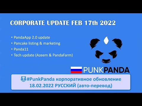 #PunkPanda Corp update PunkPanda zoom 18.02.2022 РУССКИЙ