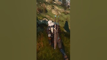 Easter Egg at the Destroyed Bastion #shorts #witcher3