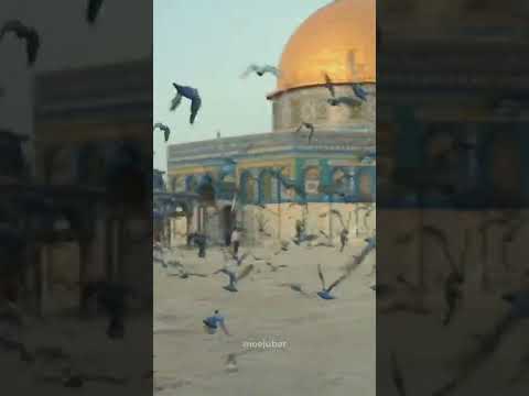 فيك هذا القلب هام القدس