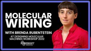 Brenda Rubenstein | The Indispensible Missing Link: Molecular Wiring