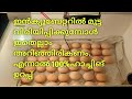 എങ്ങിനെ ഇൻക്യൂബേറ്ററിൽ മുട്ട വിരിയിക്കാം? How to hatch eggs in an incubator?#Incubator