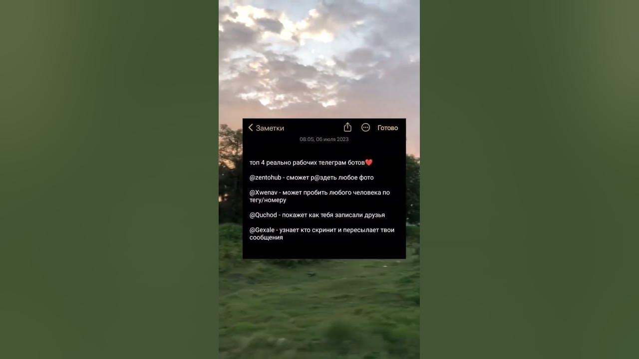 Тг каналы - YouTube