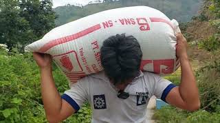 Download Lagu ABANGKU TIDAK SANGGUP LAGI MENGGANGKAT SATU KARUNG PADI, SEHINGGA DIA HOSA HOSA MP3