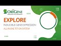 Gene Expression Vectors Quiz
