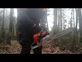 Пилю бензопилой Stihl MS 361.