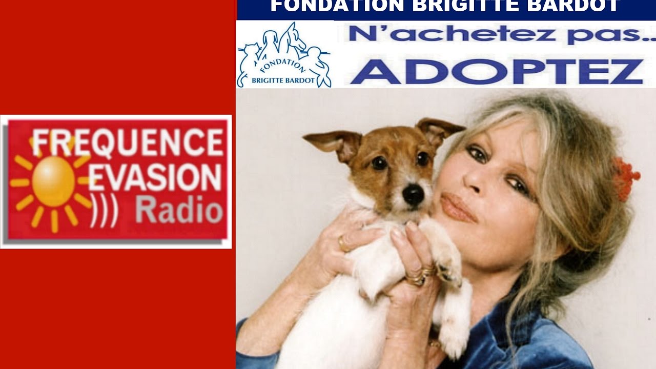 FONDATION BRIGITTE BARDOT sur Fréquence Evasion.