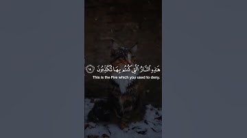 قران كريم يريح القلب ويهدء الروح تلاوة هادئه #راحة #اكسبلور #المصحف  #قران_كريم #راحة_نفسية #vairal