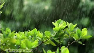 Falun dafa music    Peaceful piano music   Meditation music