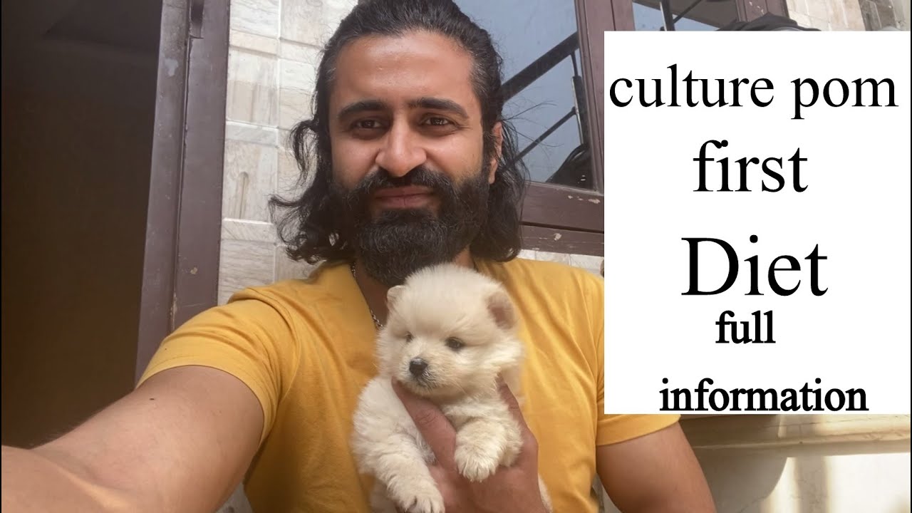 culture pom first diet with full information YouTube