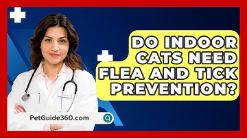 Do Indoor Cats Need Flea And Tick Prevention? - PetGuide360.com