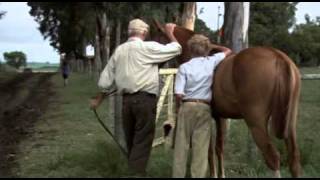 El último verano de la Boyita: Parte [5/7] Idioma Argentino (Original) HD