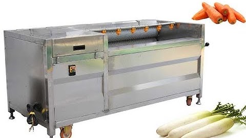 Automatic White Radish Washing Cleaning machine Manufacturer