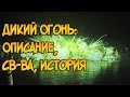 Дикий Огонь. Описание, свойства, история применения (Игра Престолов и ПЛиО)