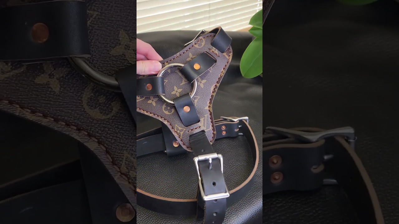 Luxury Dog Collar & Harness 