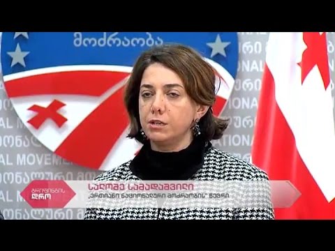 \"ერთიანი ნაციონალური მოძრაობის\" წარმომადგენლების შეხვედრა დიპლომატიურ კორპუსთან