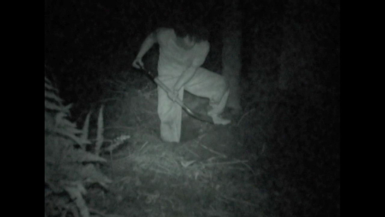 【恐怖映像】これは何だ？！夜の山奥でひたすら穴を掘る男…【心霊闇動画50】