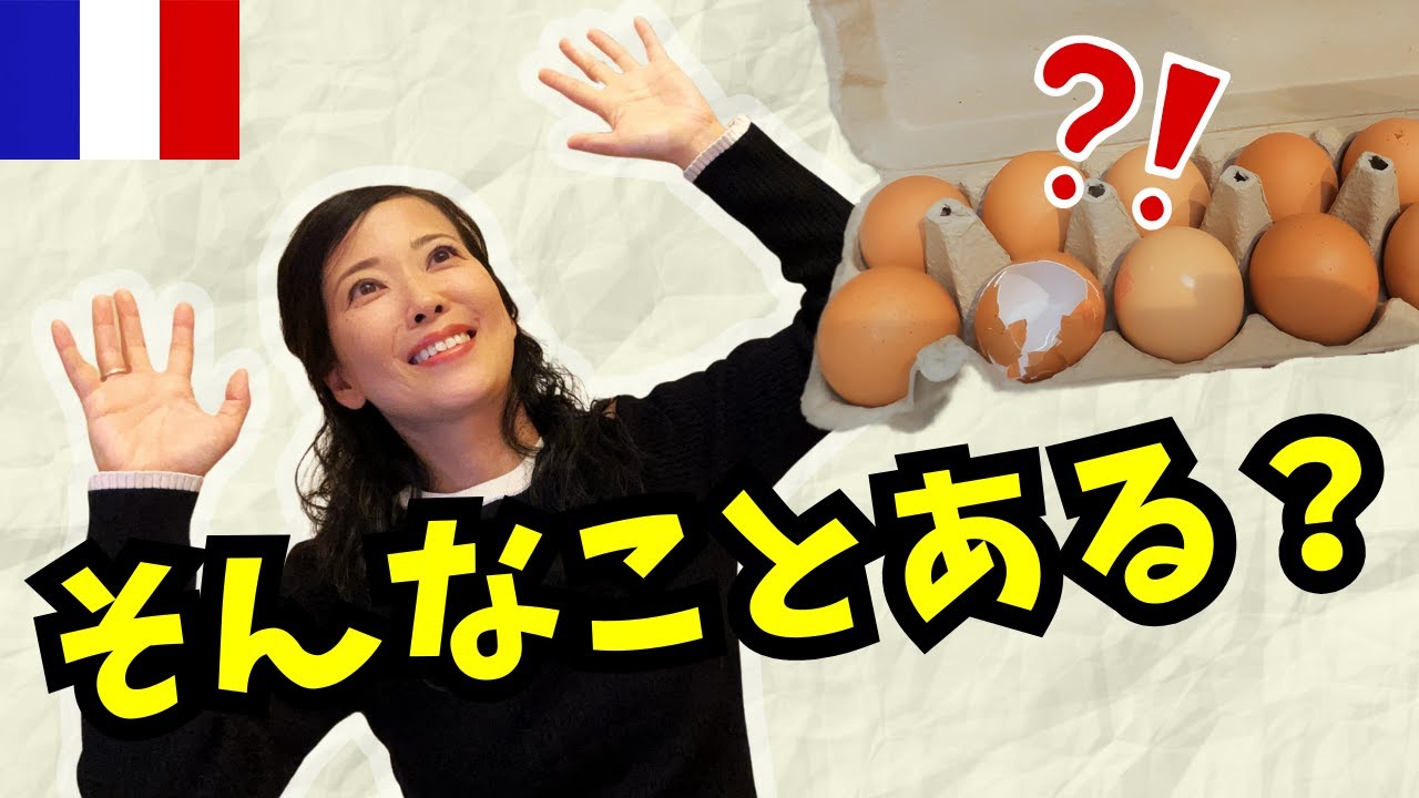 【🇫🇷フランス生活】実際にあった異文化体験エピソード / フランスの神対応 / 庭に不法侵入者 / 年末恒例の寄付制度など