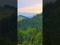 гори Карпати писанийкамінь гори Карпати писанийкамінь