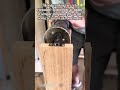 Perfect Curved Wood Cuts Now