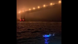Amy Appelhans Gubser  Golden Gate Bridge to Farallon Islands swim