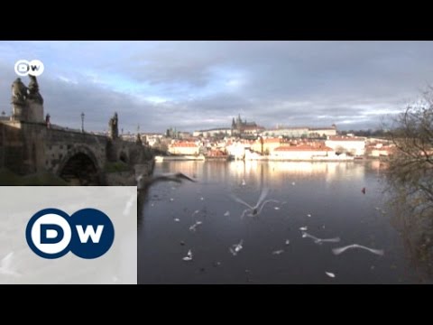 Video: Tschechische Weihnachtsgeschenke aus Prag