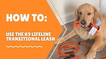 How to put on the transitional leash