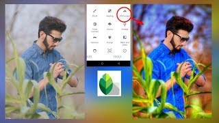 Snapseed Color Effects Editing || Amazing Editing Tricks || Best Color Effect