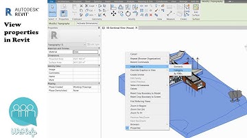 View properties in Revit