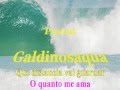 Karaokê - Sinais de fogo - Preta Gil - Galdinosaqua