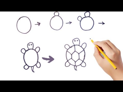 Video: Bir Kaplumbağa Nasıl çizilir: Adım Adım Talimatlar