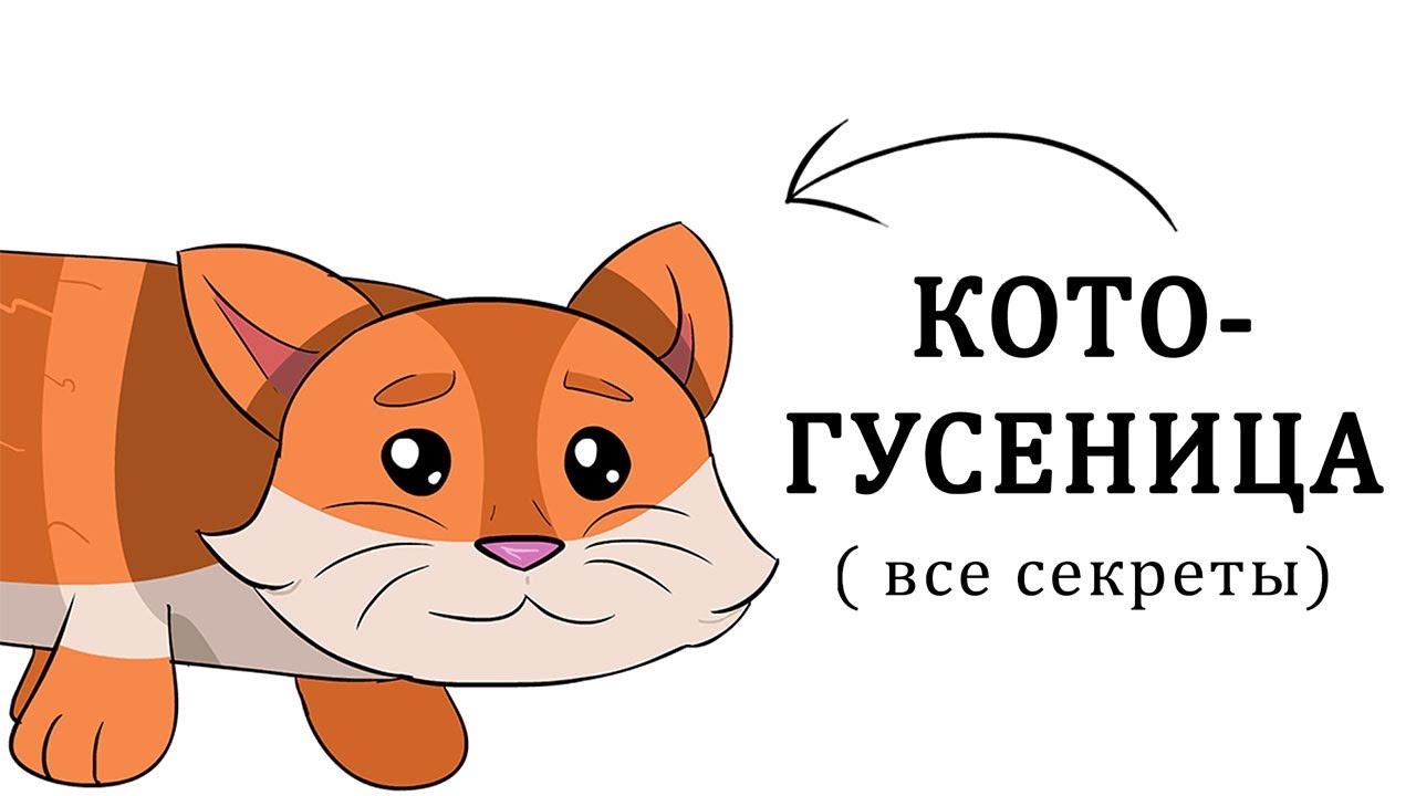 Ты - котогусеница ( но это СУПЕР СЕКРЕТНО )