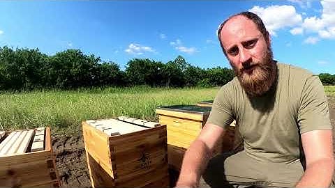 Brand New Bee Hive Setup (Hoover Hives)