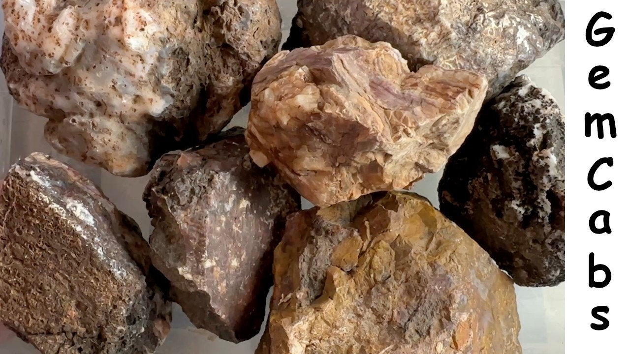 Handful of Arizona Rocks Cut Open to See What is Inside 05 01 26 - YouTube
