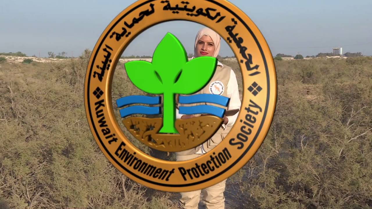 برنامج كل يوم نبتة حلقة نبات الطرفة الحلقة العاشرة