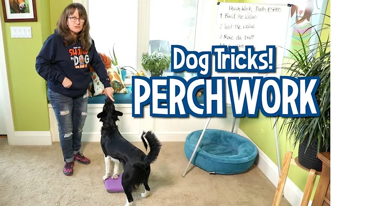 Susan Garretts Perch Work Dog Tricks (Pivots and S...